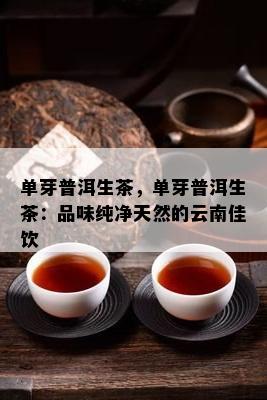 单芽普洱生茶，单芽普洱生茶：品味纯净天然的云南佳饮