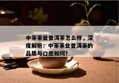 中茶茶业普洱茶怎么样，深度解析：中茶茶业普洱茶的品质与口感如何？