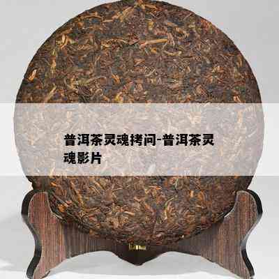 普洱茶灵魂拷问-普洱茶灵魂影片