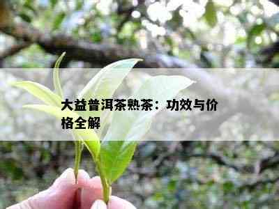 大益普洱茶熟茶：功效与价格全解