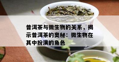 普洱茶与微生物的关系，揭示普洱茶的奥秘：微生物在其中扮演的角色