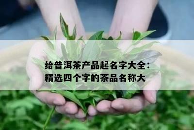 给普洱茶产品起名字大全：精选四个字的茶品名称大