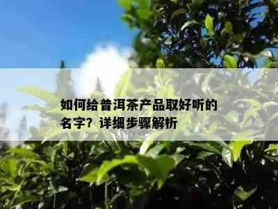 怎样给普洱茶产品取好听的名字？详细步骤解析