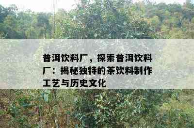 普洱饮料厂，探索普洱饮料厂：揭秘特别的茶饮料制作工艺与历史文化