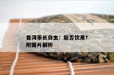 普洱茶长白虫：能否饮用？附图片解析