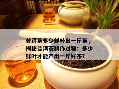 普洱茶多少鲜叶出一斤茶，揭秘普洱茶制作过程：多少鲜叶才能产出一斤好茶？