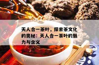 天人合一茶叶，探索茶文化的奥秘：天人合一茶叶的魅力与含义