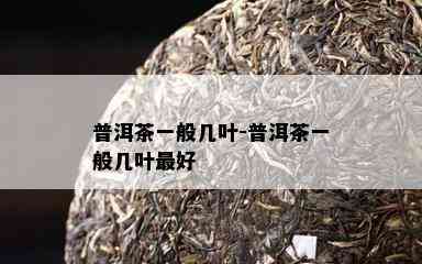 普洱茶一般几叶-普洱茶一般几叶更好