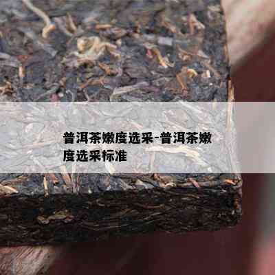 普洱茶嫩度选采-普洱茶嫩度选采标准