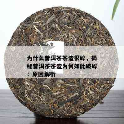 为什么普洱茶茶渣很碎，揭秘普洱茶茶渣为何如此破碎：原因解析