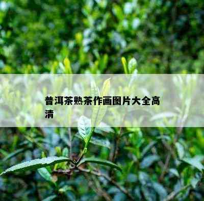 普洱茶熟茶作画图片大全高清