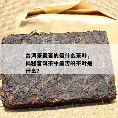 普洱茶最苦的是什么茶叶，揭秘普洱茶中最苦的茶叶是什么？