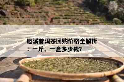 旭溪普洱茶团购价格全解析：一斤、一盒多少钱？