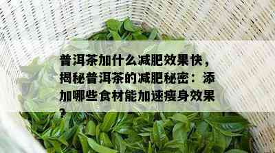 普洱茶加什么减肥效果快，揭秘普洱茶的减肥秘密：添加哪些食材能加速瘦身效果？