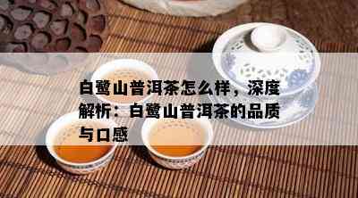 白鹭山普洱茶怎么样，深度解析：白鹭山普洱茶的品质与口感