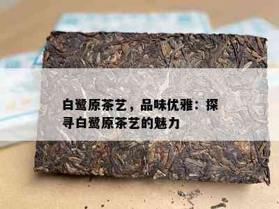 白鹭原茶艺，品味优雅：探寻白鹭原茶艺的魅力