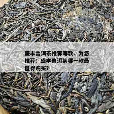 盛丰普洱茶推荐哪款，为您推荐：盛丰普洱茶哪一款最值得购买？