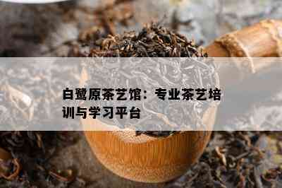 白鹭原茶艺馆：专业茶艺培训与学习平台