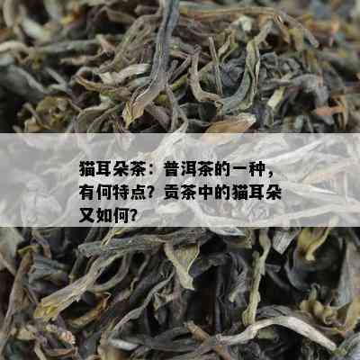 猫耳朵茶：普洱茶的一种，有何特点？贡茶中的猫耳朵又怎样？