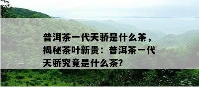 普洱茶一代天骄是什么茶，揭秘茶叶新贵：普洱茶一代天骄究竟是什么茶？