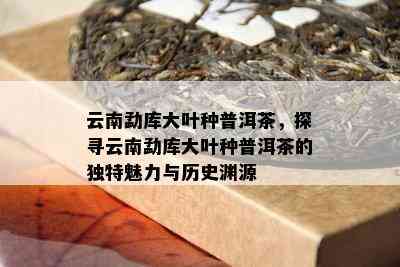 云南勐库大叶种普洱茶，探寻云南勐库大叶种普洱茶的特别魅力与历史渊源