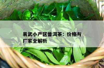 易武小产区普洱茶：价格与厂家全解析