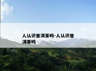 人认识普洱茶吗-人认识普洱茶吗