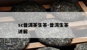 sc普洱茶生茶-普洱生茶讲解