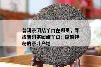 普洱茶团结丫口在哪里，寻找普洱茶团结丫口：探索神秘的茶叶产地