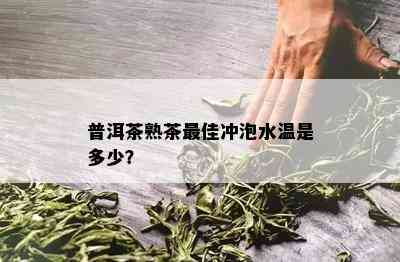 普洱茶熟茶更佳冲泡水温是多少？