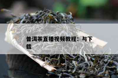 普洱茶直播视频教程：与下载