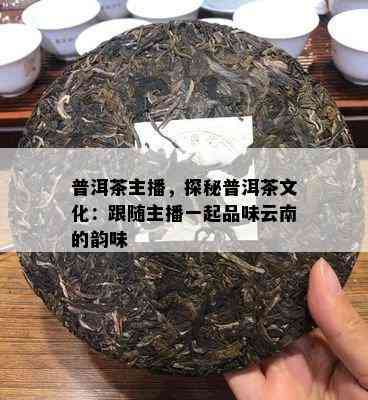 普洱茶主播，探秘普洱茶文化：跟随主播一起品味云南的韵味