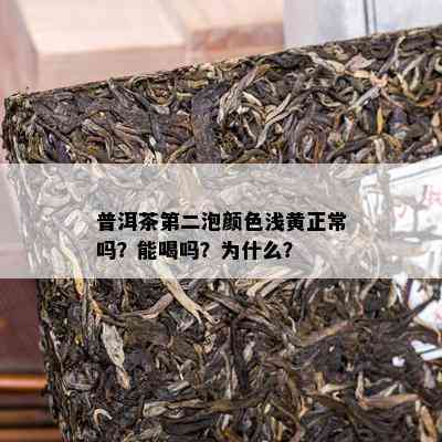 普洱茶第二泡颜色浅黄正常吗？能喝吗？为什么？