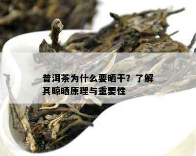 普洱茶为什么要晒干？熟悉其晾晒原理与关键性