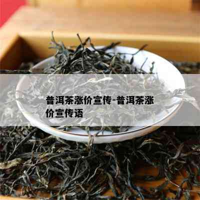 普洱茶涨价宣传-普洱茶涨价宣传语