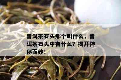 普洱茶石头那个叫什么，普洱茶石头中有什么？揭开神秘面纱！