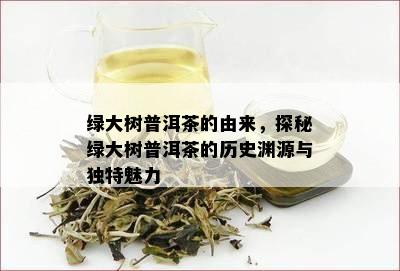 绿大树普洱茶的由来，探秘绿大树普洱茶的历史渊源与特别魅力