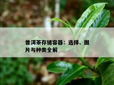 普洱茶存储容器：选择、图片与种类全解