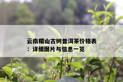 云南糯山古树普洱茶价格表：详细图片与信息一览