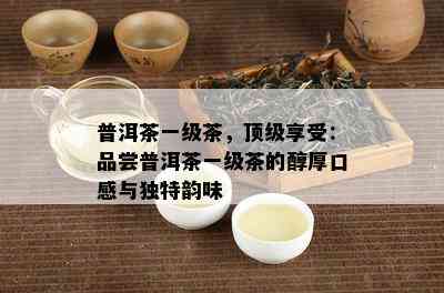 普洱茶一级茶，顶级享受：品尝普洱茶一级茶的醇厚口感与独特韵味