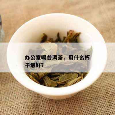 办公室喝普洱茶，用什么杯子更好？