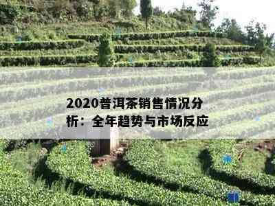 2020普洱茶销售情况分析：全年趋势与市场反应