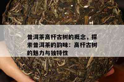 普洱茶高杆古树的概念，探索普洱茶的韵味：高杆古树的魅力与独特性