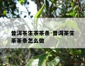 普洱茶生茶茶条-普洱茶生茶茶条怎么做