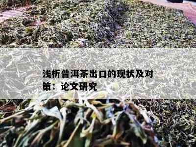 浅析普洱茶出口的现状及对策：论文研究