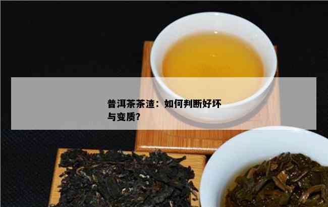 普洱茶茶渣：怎样判断好坏与变质？