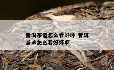 普洱茶渣怎么看好坏-普洱茶渣怎么看好坏啊