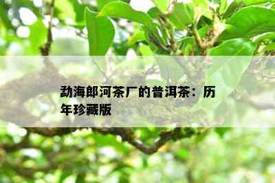 勐海郎河茶厂的普洱茶：历年珍藏版