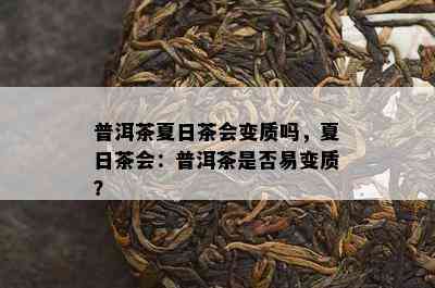 普洱茶夏日茶会变质吗，夏日茶会：普洱茶是否易变质？