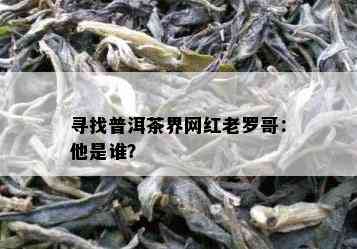 寻找普洱茶界网红老罗哥：他是谁？